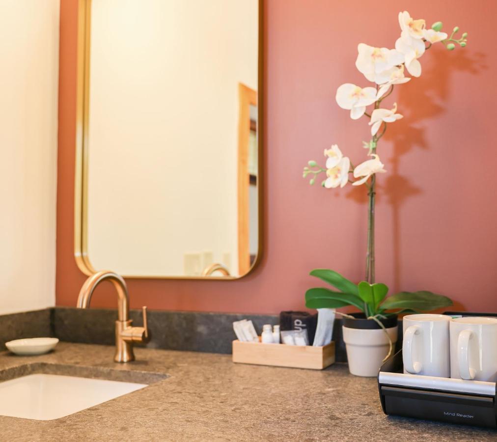 Outland Chalet & Suites Great Smoky Mountains Whittier Eksteriør billede
